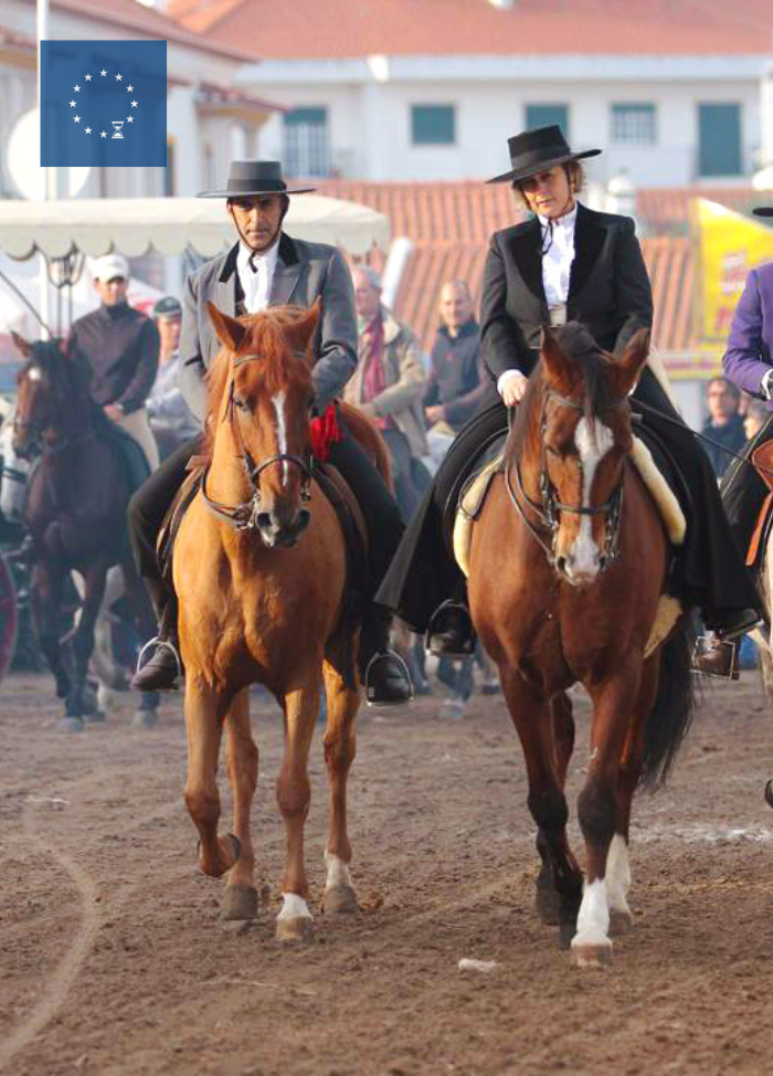 Golegã National Horse Fair: Portugal's Majestic Equestrian Celebration